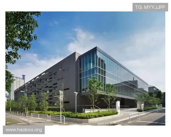 全面解析名门国际货运的服务质量与客户评价
